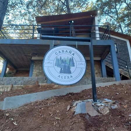 Cabana "Alexa", En El Corazon Del Bosque De Масамитла Екстериор снимка