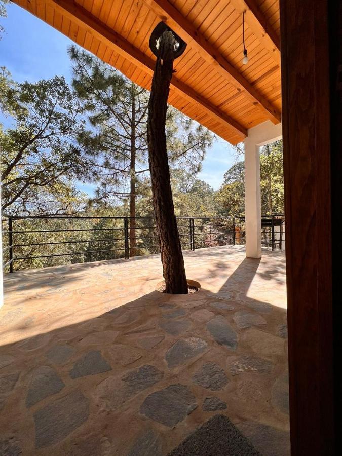 Cabana "Alexa", En El Corazon Del Bosque De Масамитла Екстериор снимка