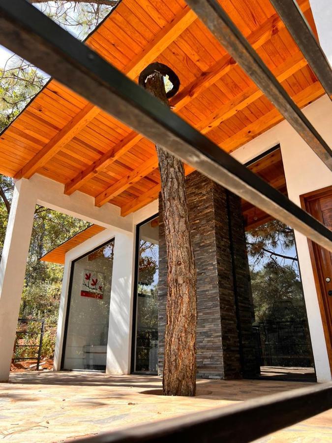 Cabana "Alexa", En El Corazon Del Bosque De Масамитла Екстериор снимка