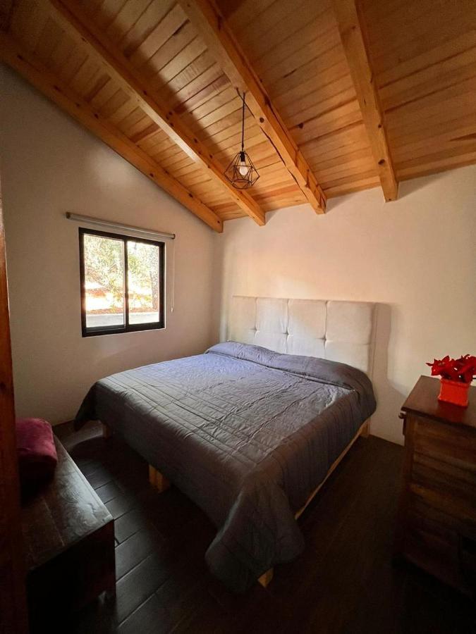 Cabana "Alexa", En El Corazon Del Bosque De Масамитла Екстериор снимка